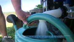 Quatre communes wallonnes imposent des restrictions en eau